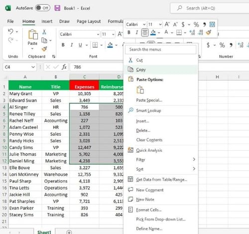 Excel Copy Paste